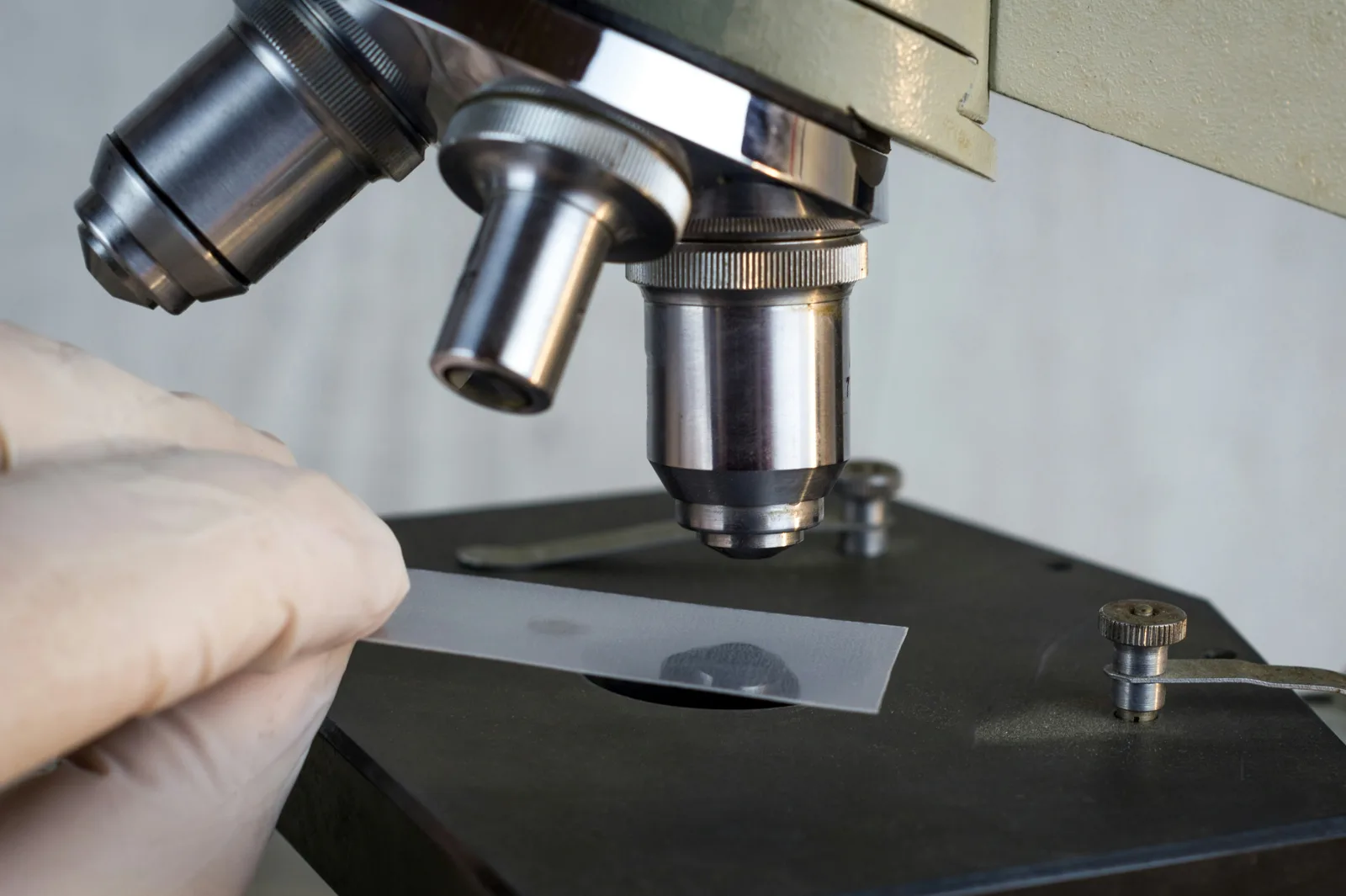 Microscope examining a laboratory sample